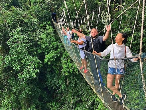 Best Nature Experiences You Should Not Miss in Sabah