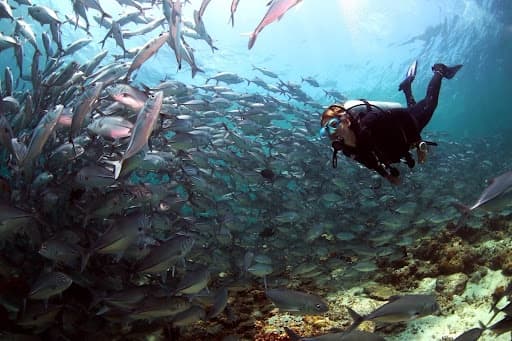 Travel Advice for Families Visiting Sabah