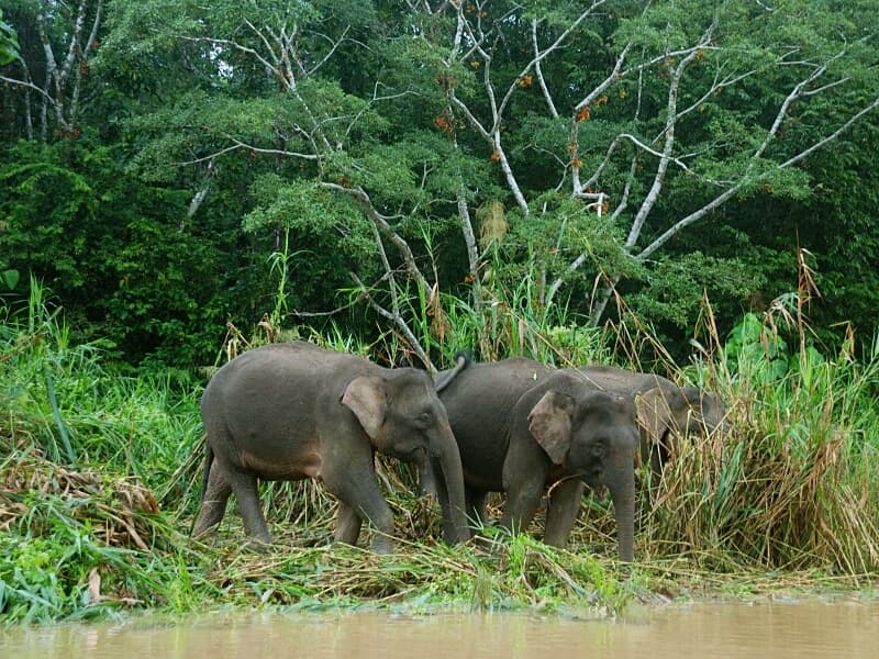 Sabah travel blog hero