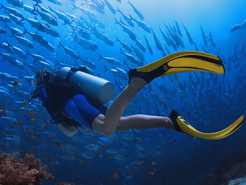 Diving