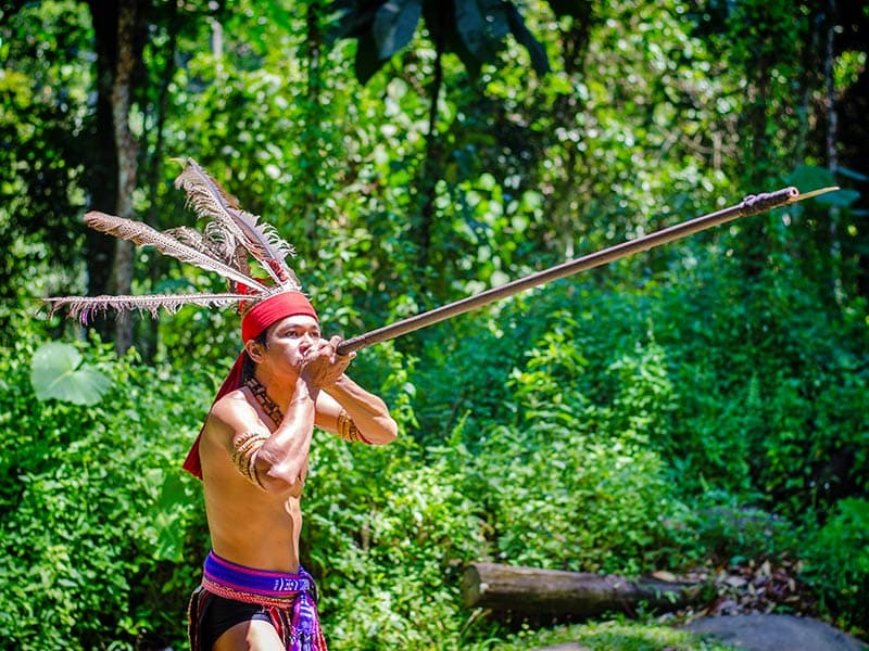 Special Interest Tours