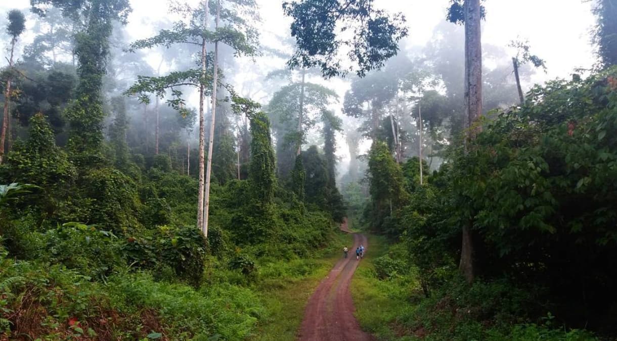 danum valley.jpg