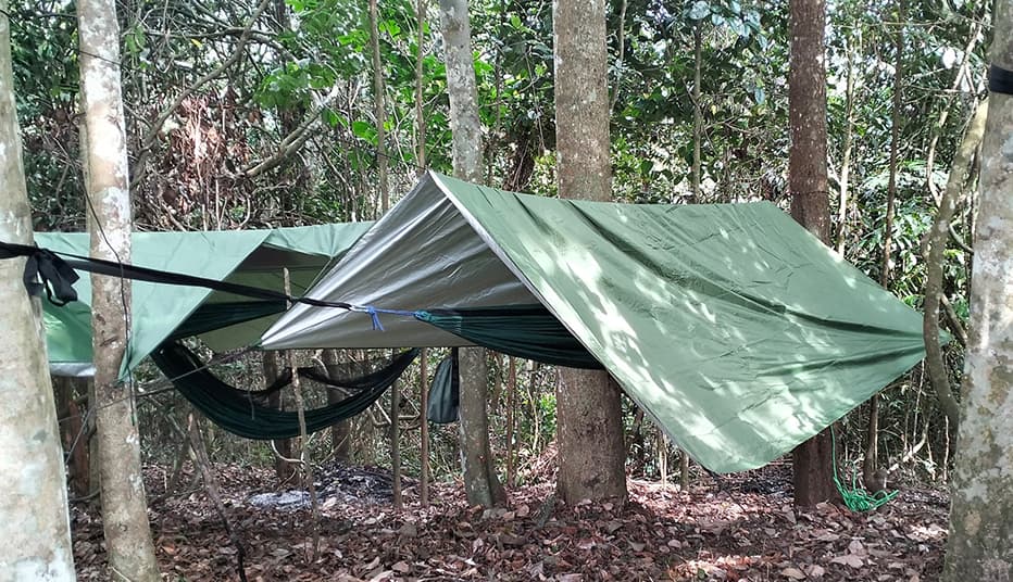 Hammock.JPG
