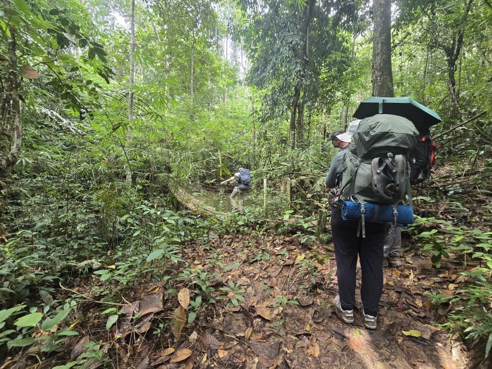 Jungle Trek.JPG
