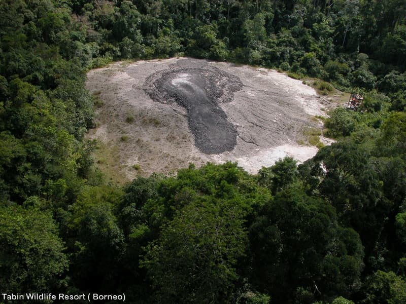 Tabin Mud Volcan.jpg