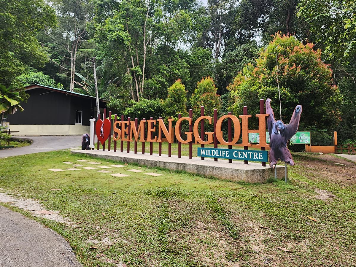 semenggoh.jpg