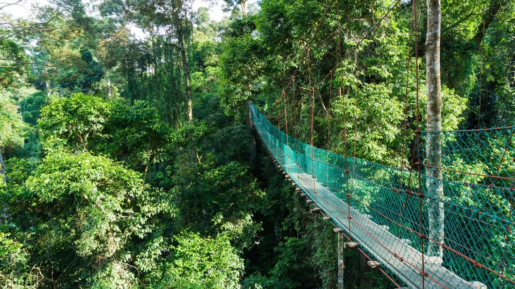 Nature Tours