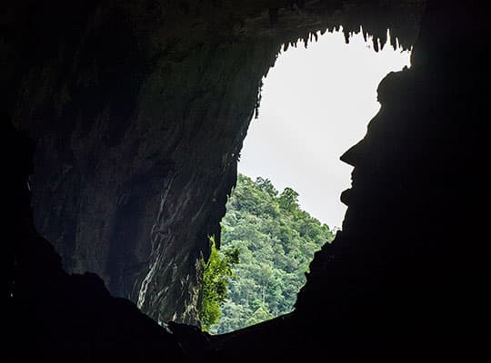 Mulu National Park 3D2N