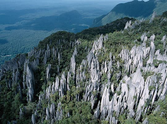 Mulu Pinnacle Tour 4D3N