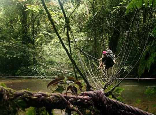 Mulu Headhunter Trails 4D3N